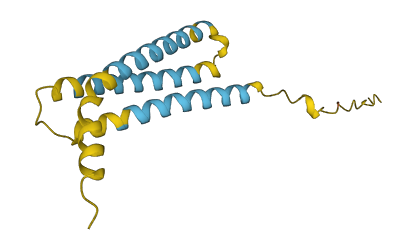 NINJ2 3D structure