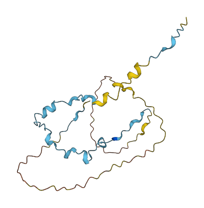 PTTG3P 3D structure