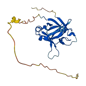 IL37 3D structure