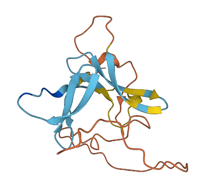 IL36B 3D structure