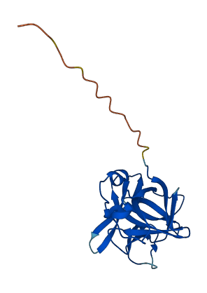 IL36G 3D structure
