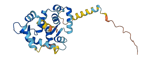 KCNIP1 3D structure