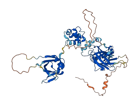 TFCP2L1 3D structure