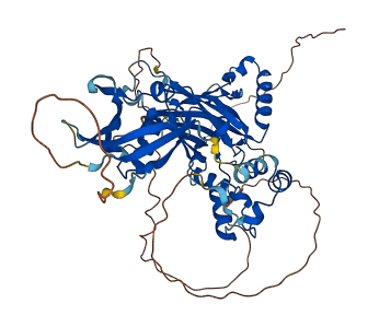 UBP1 3D structure