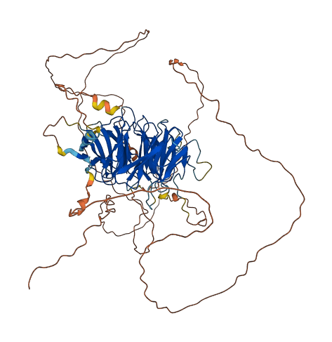 DTL 3D structure