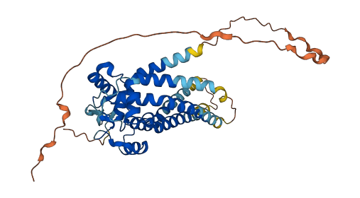 MTCH1 3D structure