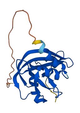 NUDT4 3D structure