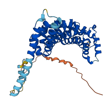 HSPBP1 3D structure