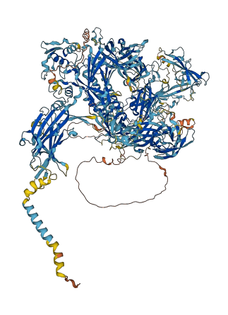 MYOF 3D structure