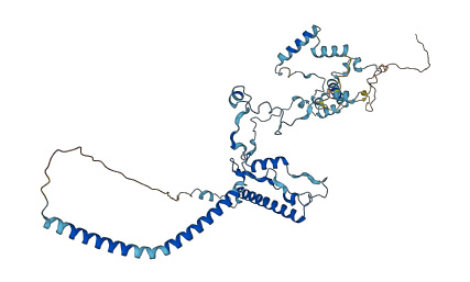 NOP53 3D structure