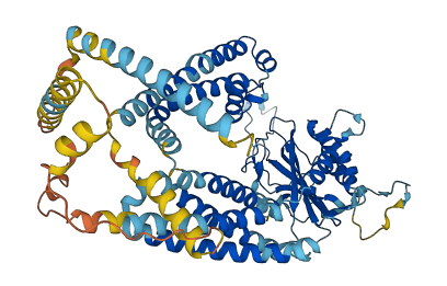 PKD2L2 3D structure