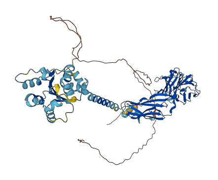 IL1RAPL1 3D structure