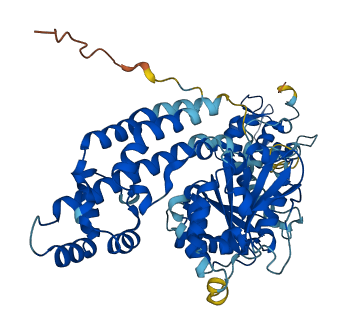 EHD3 3D structure