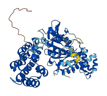 EHD2 3D structure