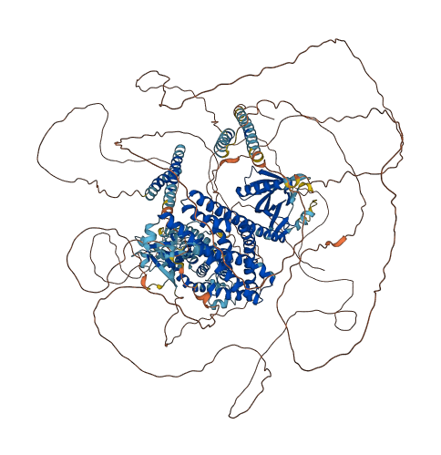 ARHGEF12 3D structure