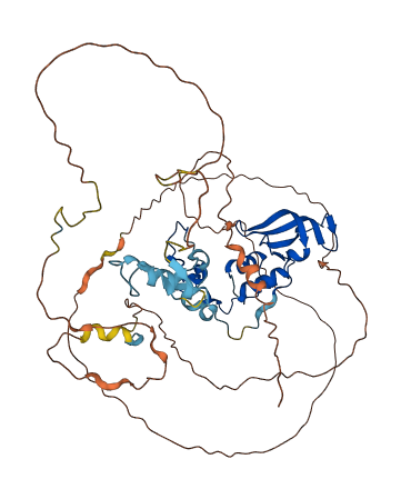 CNOT2 3D structure