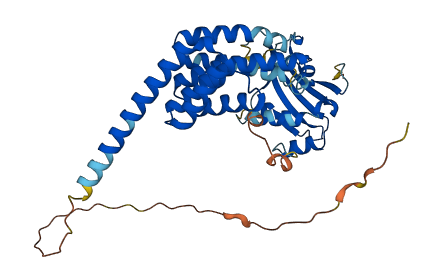 AIPL1 3D structure