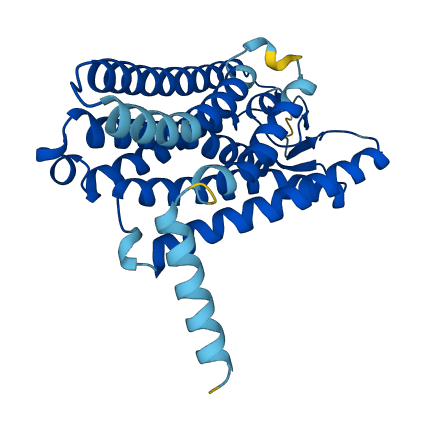 OR6C3 3D structure