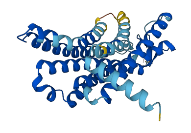 OR6C2 3D structure