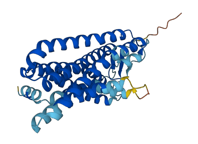 OR5AC2 3D structure