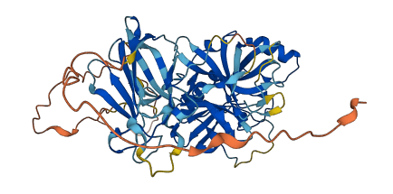 C1RL 3D structure