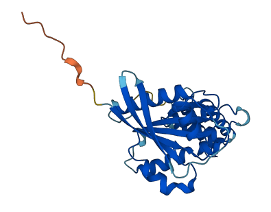 DNAJC27 3D structure