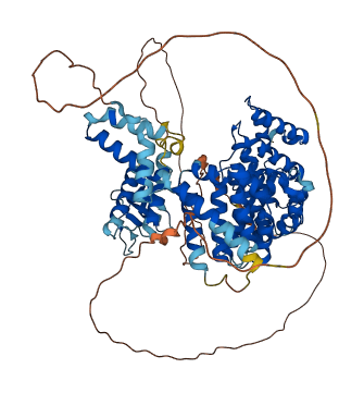 NCKIPSD 3D structure