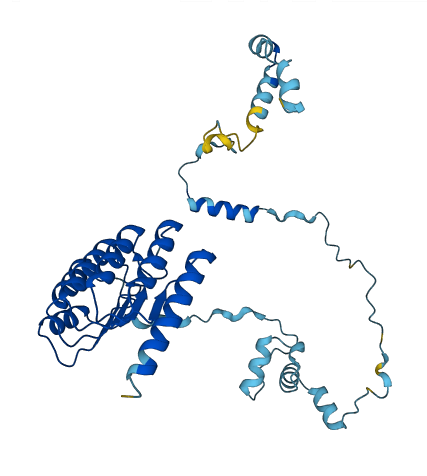 TMOD4 3D structure