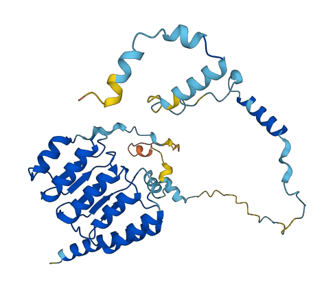 TMOD2 3D structure
