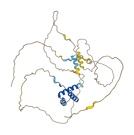 VSX1 3D structure