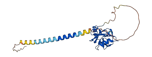 KLRF1 3D structure