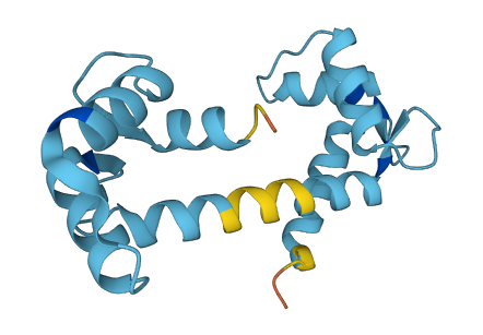 CALML5 3D structure