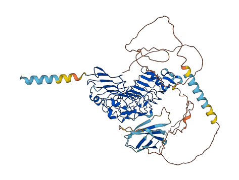FLRT1 3D structure