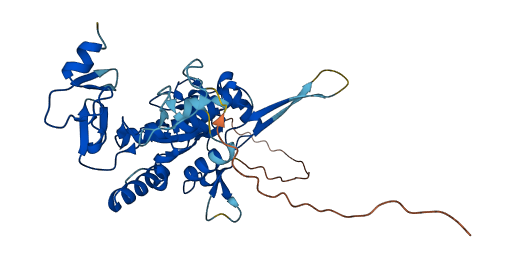 LMCD1 3D structure