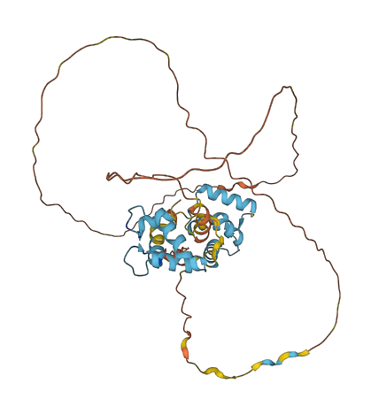 CABP1 3D structure