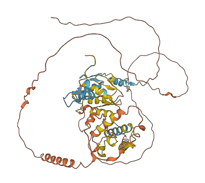 ZIM2 3D structure