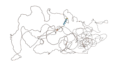 DSPP 3D structure