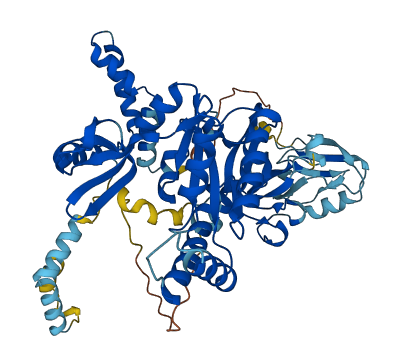 MPP6 3D structure