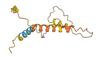 FAM30A 3D structure
