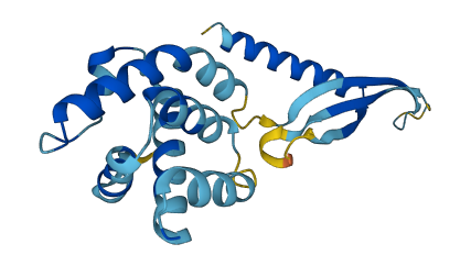 COMMD9 3D structure