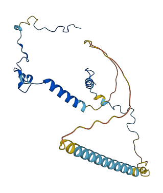 CWC15 3D structure
