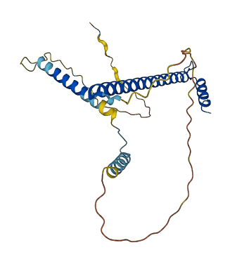 CCDC59 3D structure