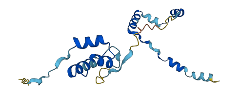 NDUFAF4 3D structure