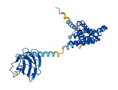 HACD3 3D structure
