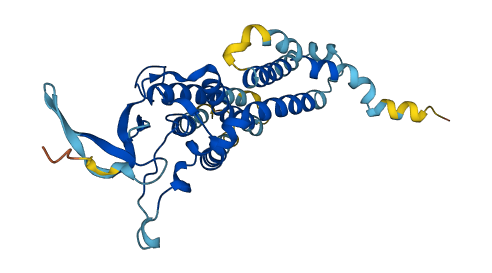 JKAMP 3D structure