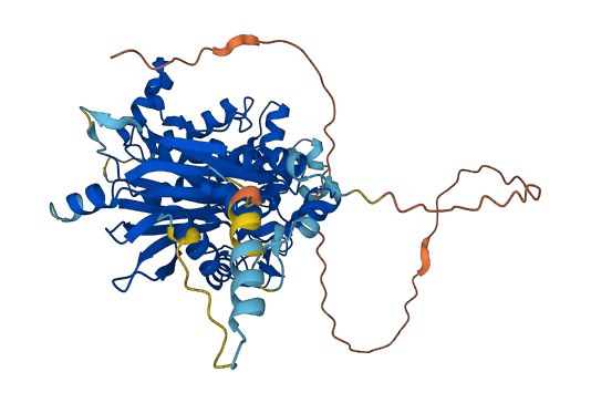 PDP1 3D structure