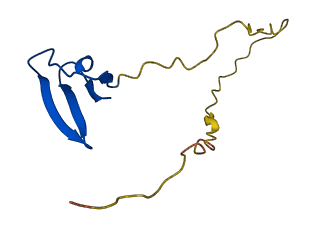 MRPL36 3D structure