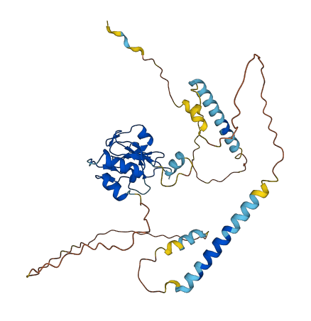 KCMF1 3D structure