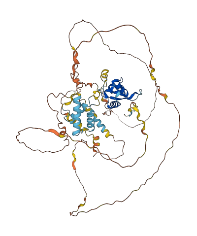 FOXJ2 3D structure
