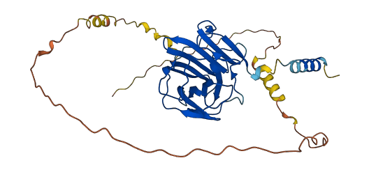 FRRS1L 3D structure